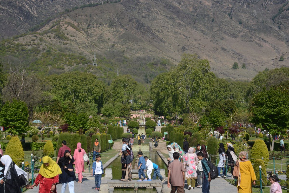 The Kashmir Monitor tweet media