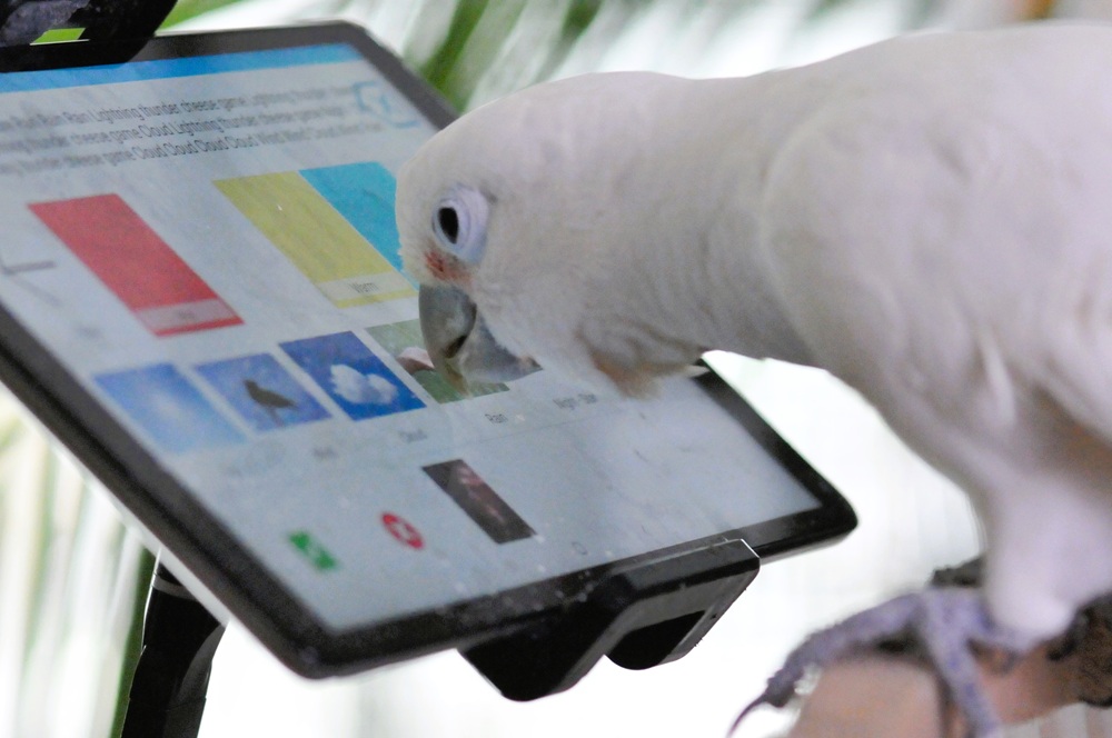 Faculty of STEM, The Open University tweet media