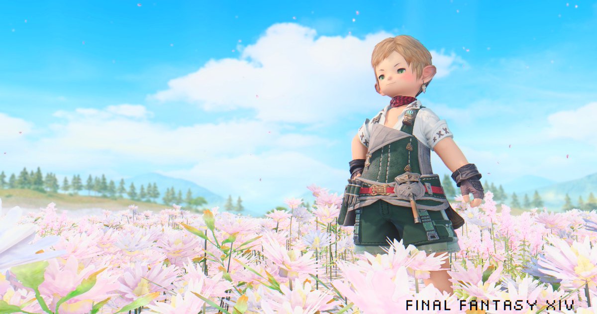 🥬こあじい🦑 tweet media