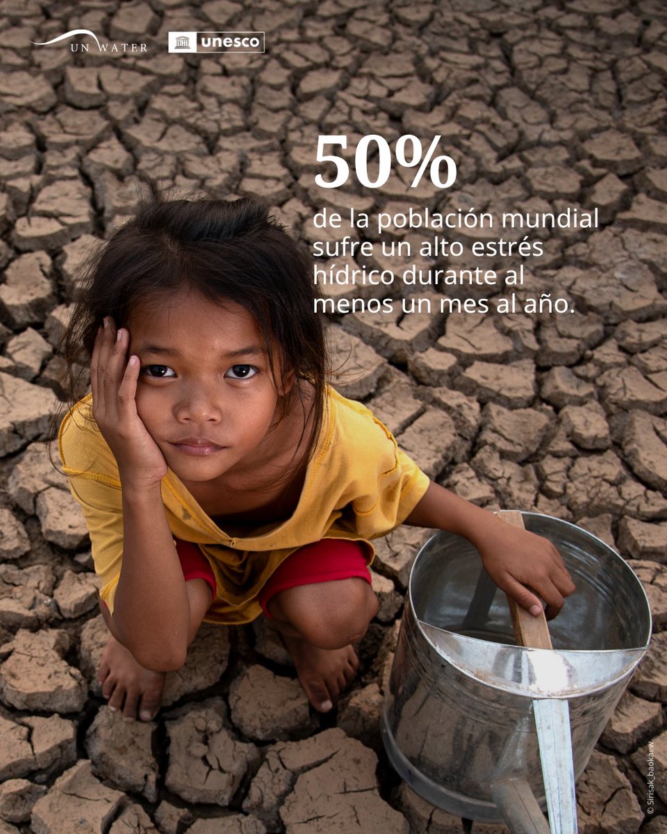 UNESCO México tweet media