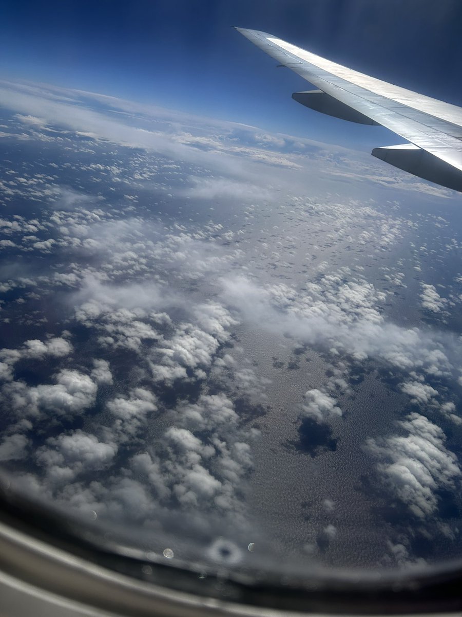 Victoria Friedman tweet media