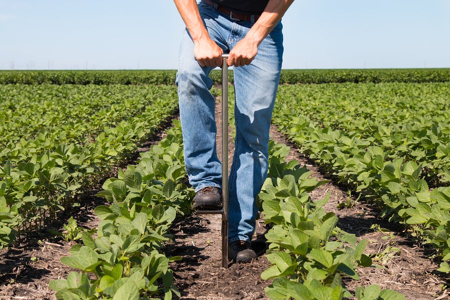 natlawreview's tweet image. Growth, Pressure, and Planning- Why North Carolina Farmers Need Legal Counsel Now More Than Ever natlawreview.com/article/growth… #NC #northcarolina #farmer #growth @WardandSmith