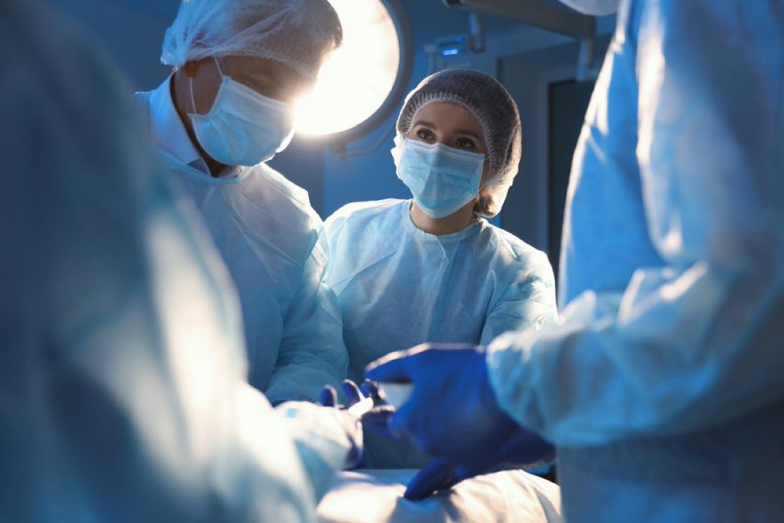 ひよこ tweet media