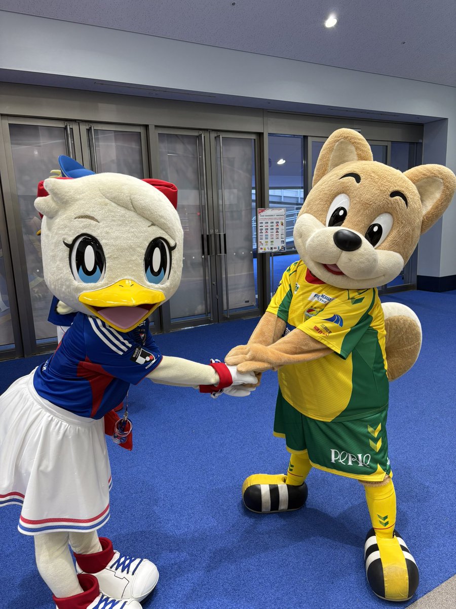 マリン【こうしき】 tweet media