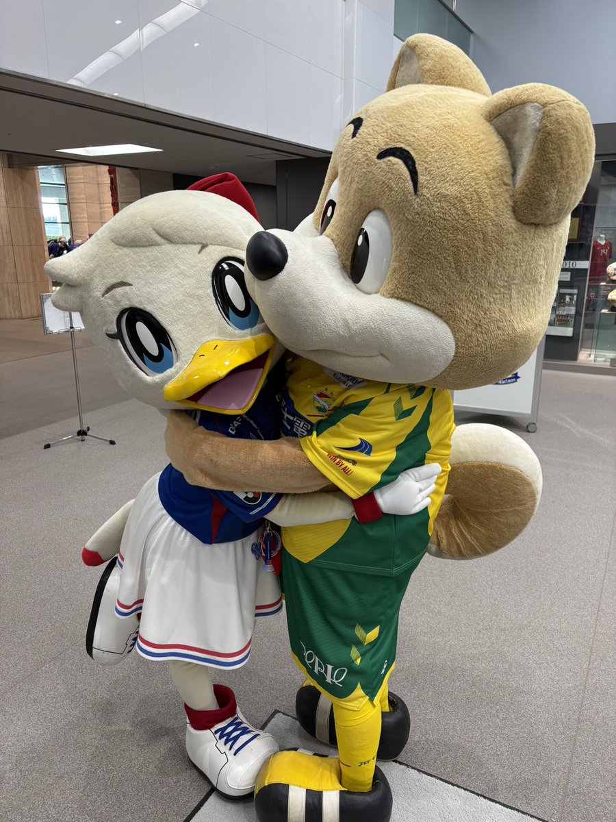 マリン【こうしき】 tweet media