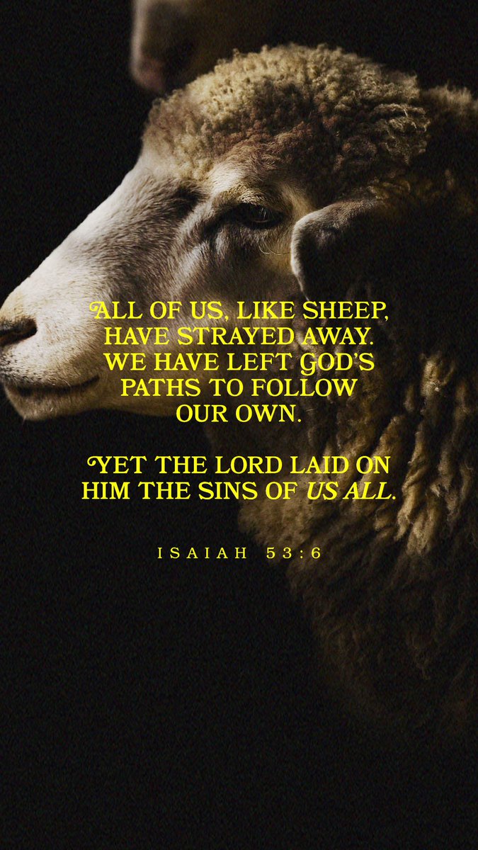 David Spell (@davidspell) on Twitter photo 