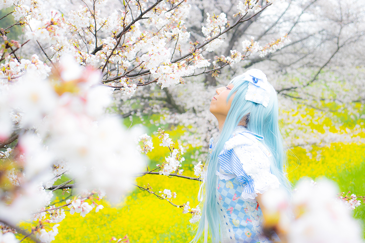 _sPirale_P2_'s tweet photo. 🌸✨麗らかなクローバーの国の春✨🌸

#sPirale_夢想の国のアリス
#sPirale_info

Model
@miwele_official
@benie_u
@dag___namu

PHOTO BY @kn_sk_jm5 https://t.co/aXYtpsUtY2
