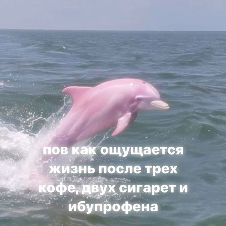 ⋆. aioon ⋆ ୨ৎ tweet media