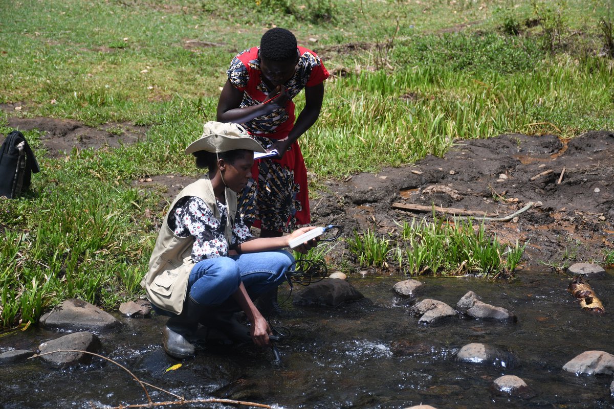 NatureUganda_'s tweet image. Behind every conservation action is data. 📊🌿

Our research team works with communities to #monitor #birds, #wetlands &amp;amp; #forests, tracking changes that guide #conservation decisions. #NatureUganda #Biodiversity #BirdsOfUganda #Research 

👉 Learn more: bit.ly/4tM20gK