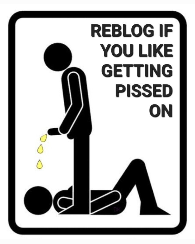 Gay Sub University🍆 tweet media