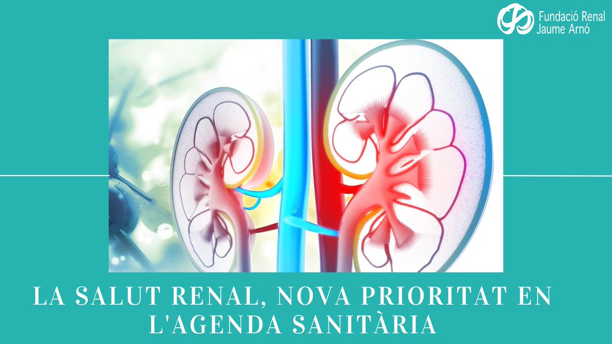 FundacioJArno's tweet photo. 🧠 La detecció precoç de la malaltia renal pot retardar fins a 20 anys la #diàlisi o el #trasplantament.
🏛️ El CISNS ha aprovat mesures per reforçar la prevenció i el diagnòstic precoç.
#SalutRenal #Prevenció #SalutPública

https://t.co/2OUDTHSMCH https://t.co/WOkv5ZjwKM