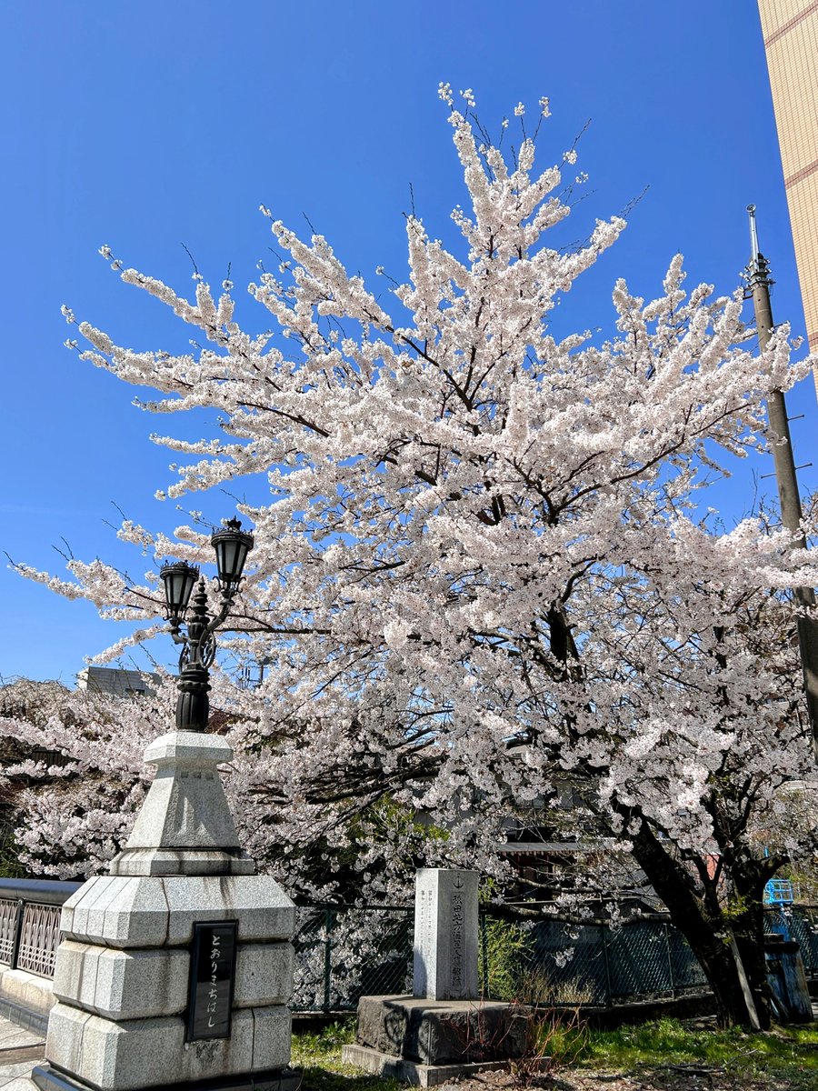 アズー tweet media