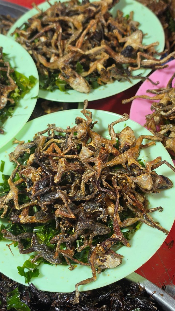 🪐 Saturn' BB 🐍💜 tweet media