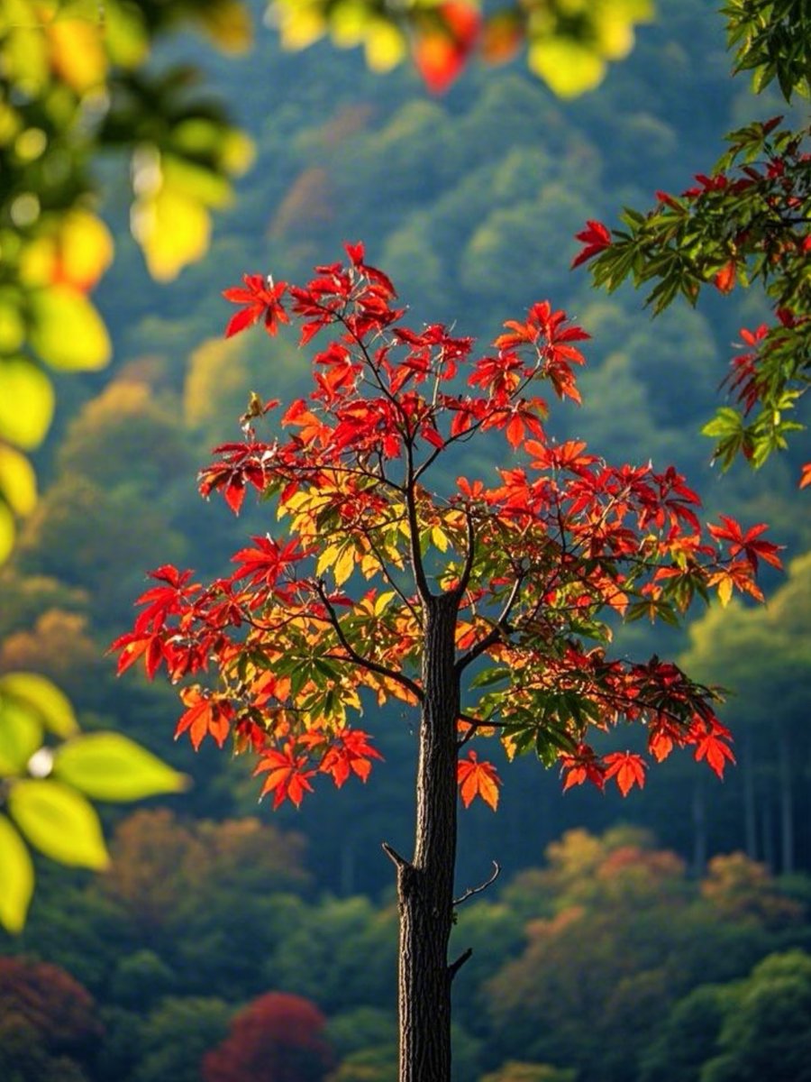 Peron Joffrey tweet media