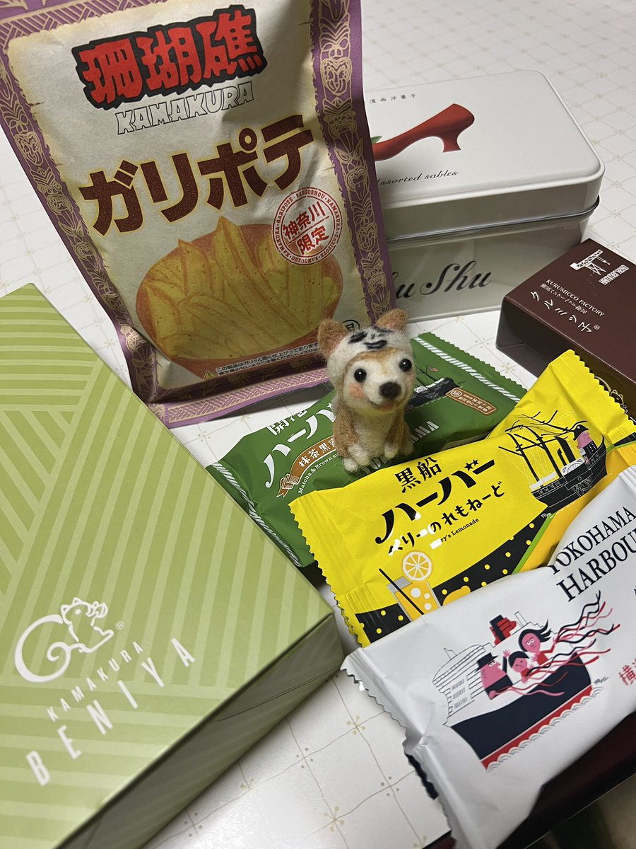 yoppy∞(よっぴ‐∞)🐕” tweet media