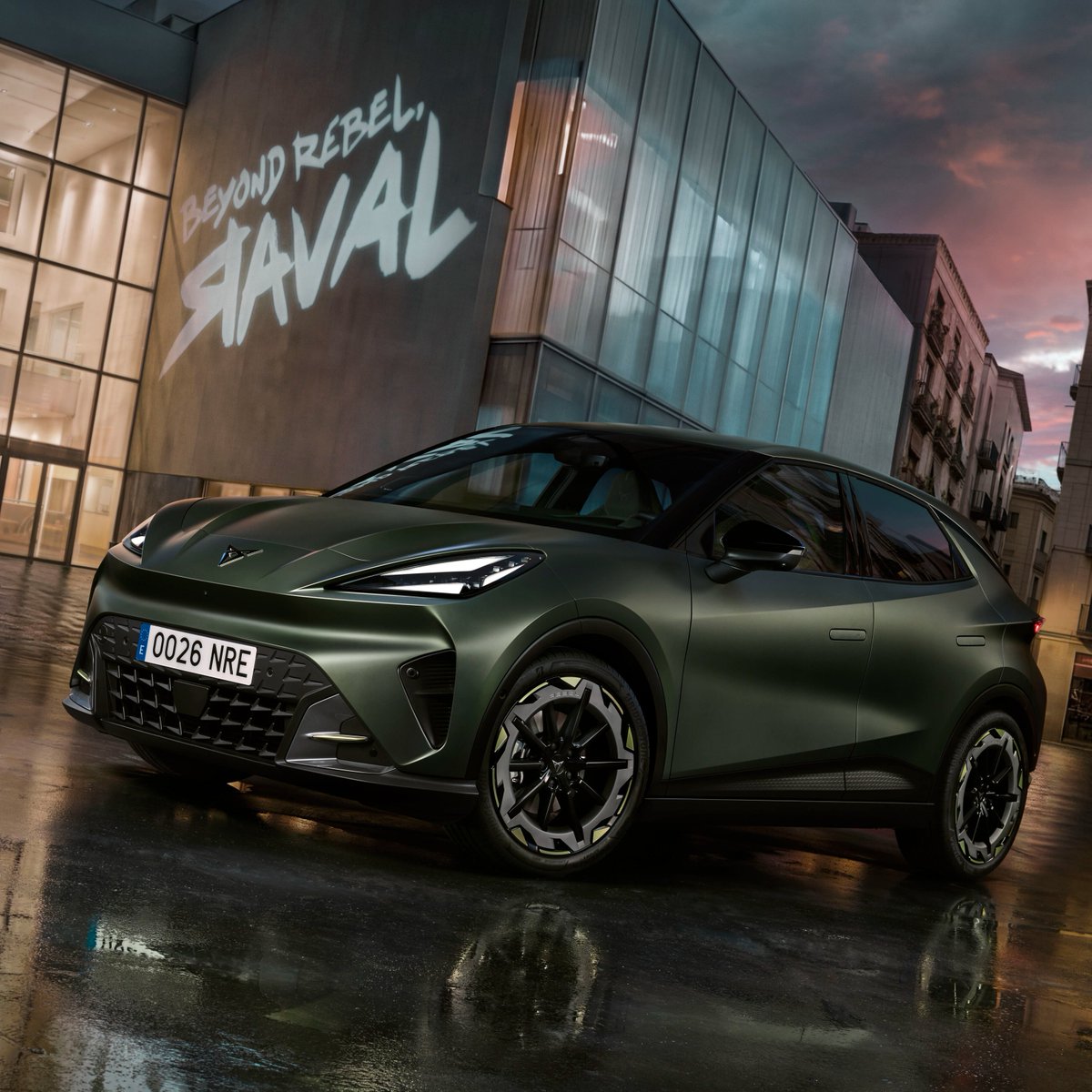 Nemo Reporter tweet media