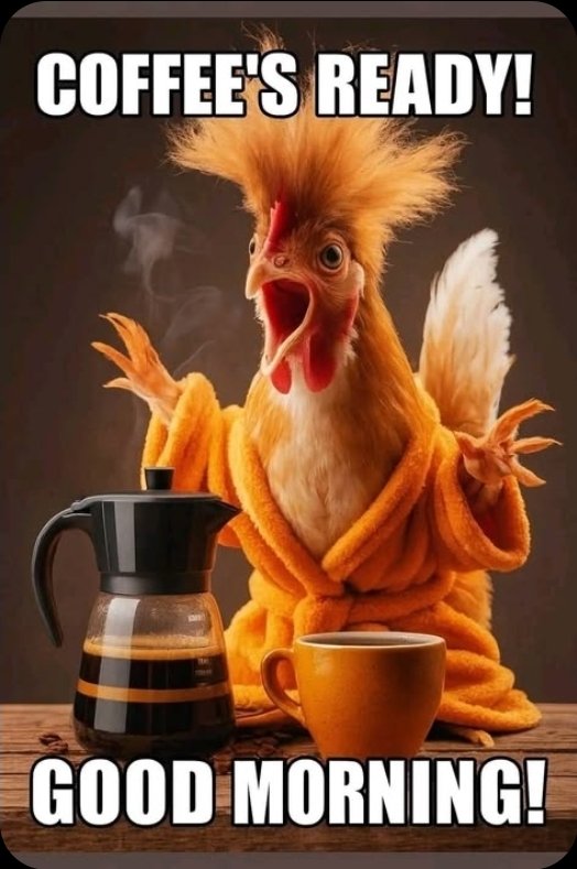 Capt. RayRay tweet media