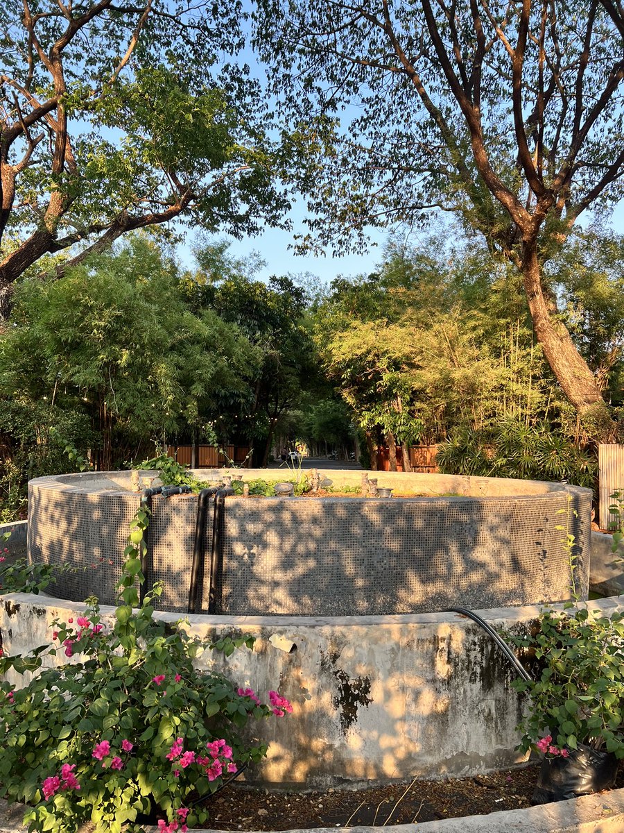 Real couples tweet media