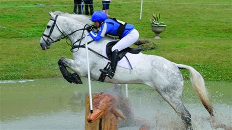 Eva Close tweet media