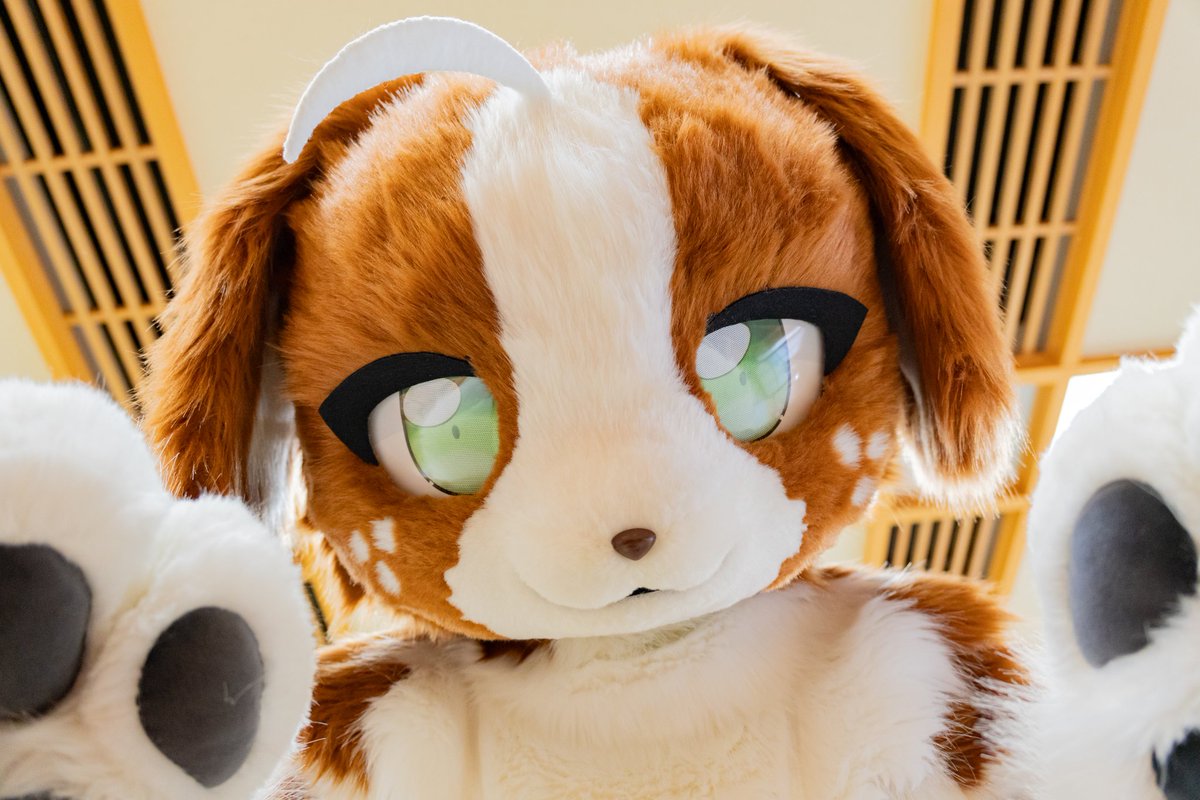 FLEET(ねこのすがた) tweet media