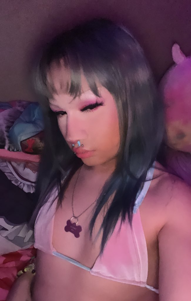 puppytron3k tweet media