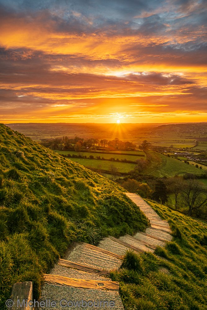 Michelle Cowbourne tweet media