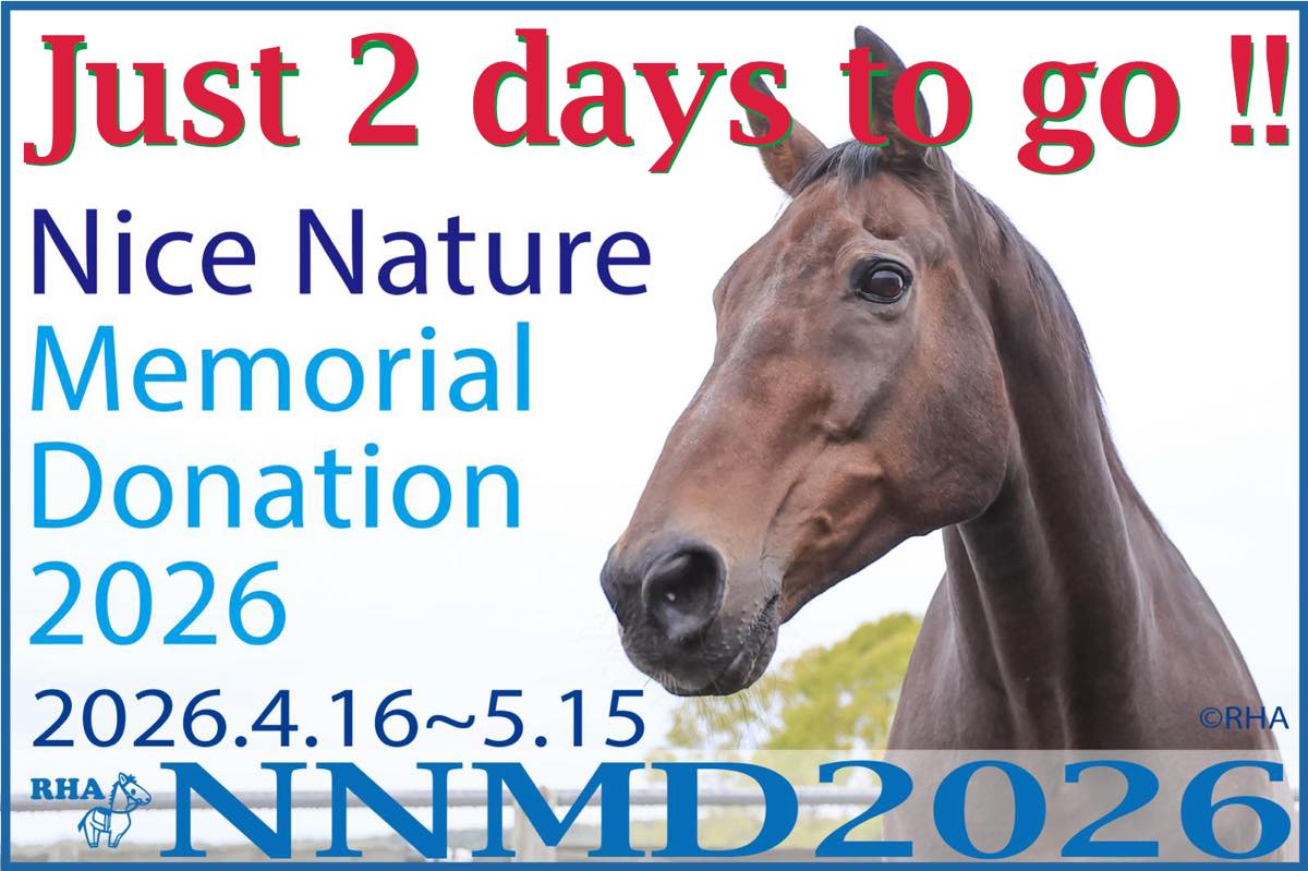 rhainfo's tweet photo. 【NNMD2026🐴4/16-5/15】【開催まであと2日】4月16日は #ナイスネイチャ（1988/4/16-2023/5/30）の誕生日。今年もナイスネイチャの生誕を祝い、引退馬支援のご寄付を募るドネーションを開催いたします。4/16 0:00 Start！ 開催まで30時間を切りました✨️ 今年のテーマは明日発表します📣
「ナイスネイチャ・メモリアルドネーション 2026」（NNMD2026）2026/4/16−5/15
詳細は別途、お知らせしてまいります。皆様、どうぞよろしくお願いいたします！
#引退馬協会
#ナイスネイチャメモリアルドネーション
#NNMD2026