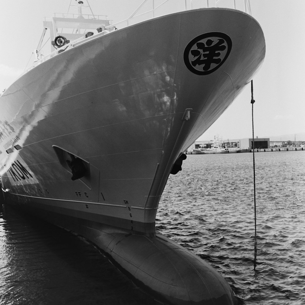 RolleiCordⅣ
CineStill Double-X
Kodak HC-110 1+31(B希釈)
23℃ 4'30(30/30/1)

スナップ

#MARIXフィルム
#フィルムカメラ