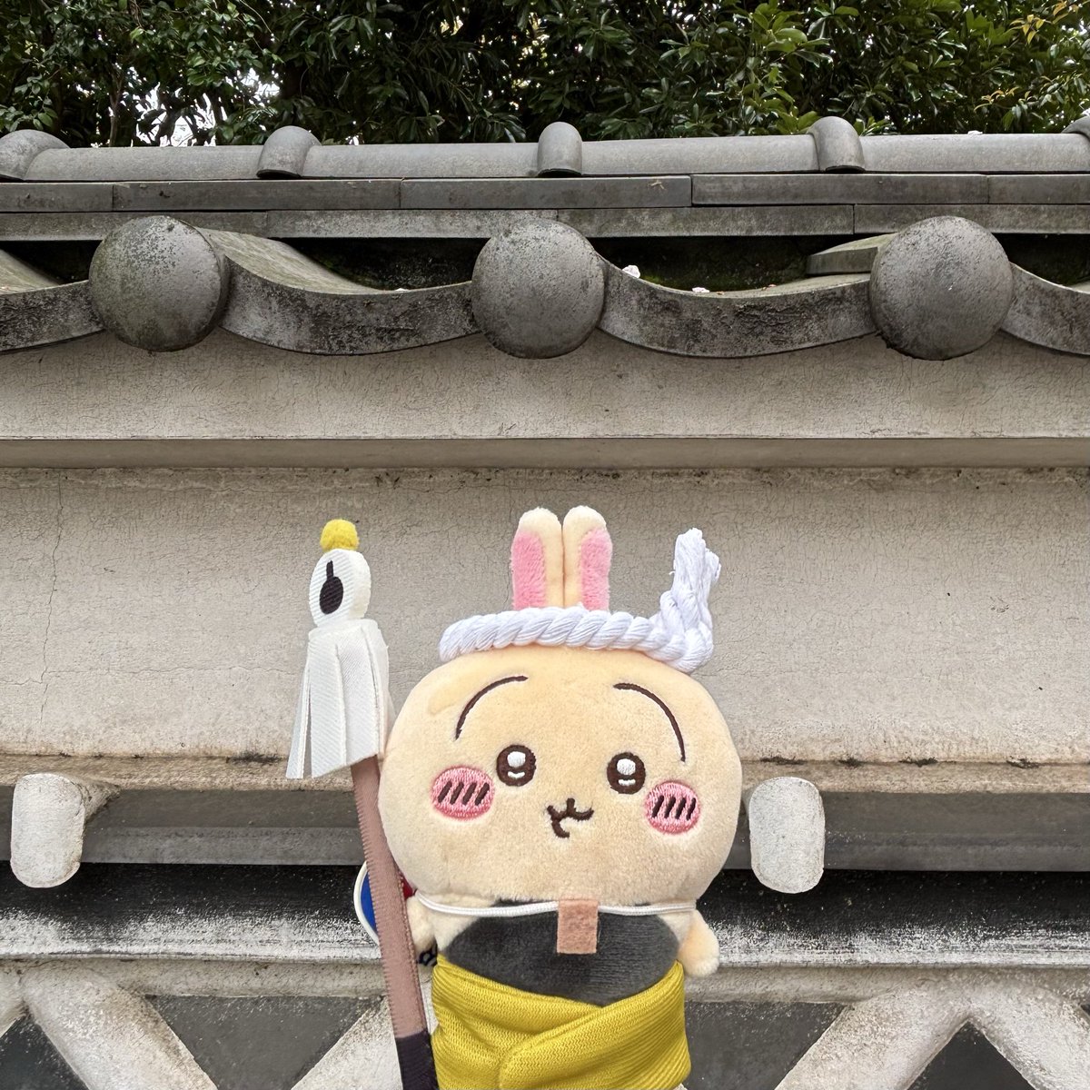 うさまん tweet media