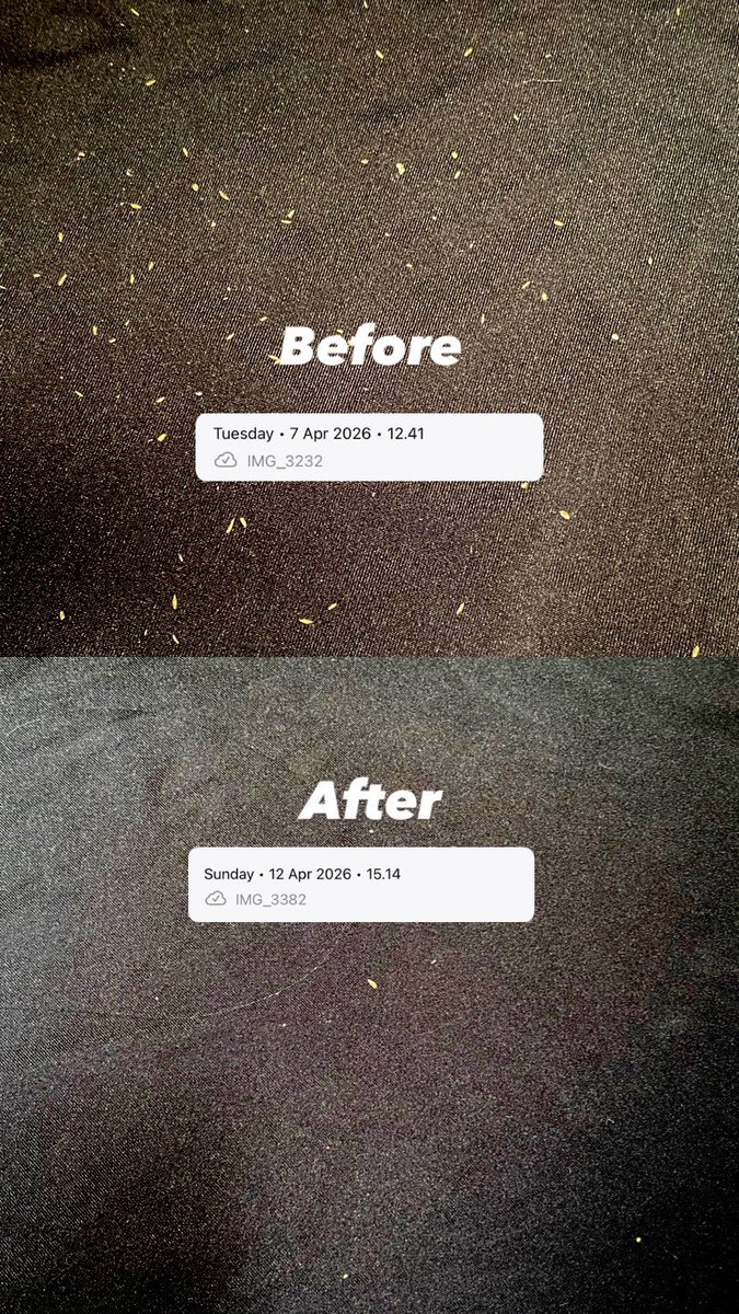 Linੈ✩‧₊˚ tweet media