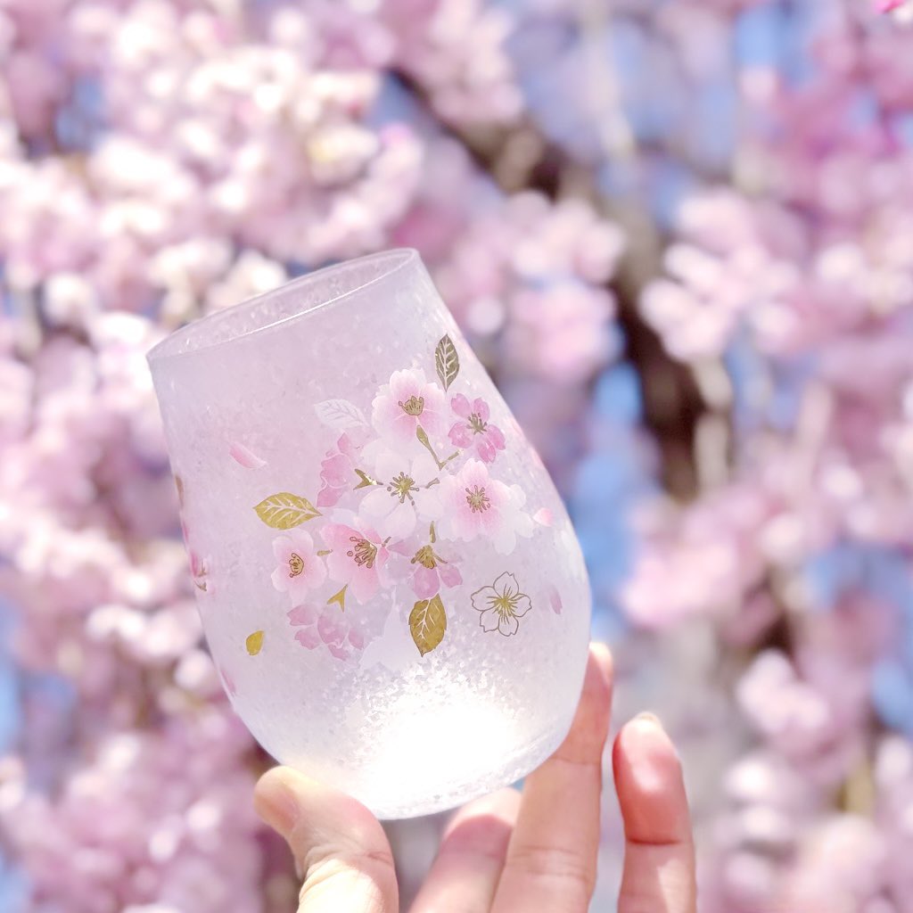 梅森陶器店-岩手県一関市 tweet media