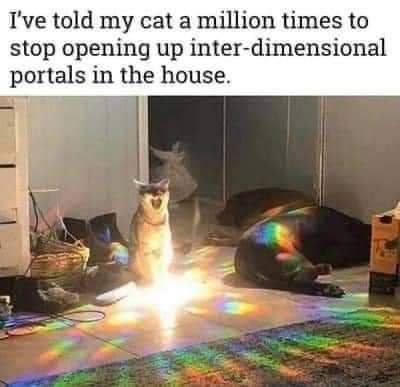 Bitey the dinosaur tweet media