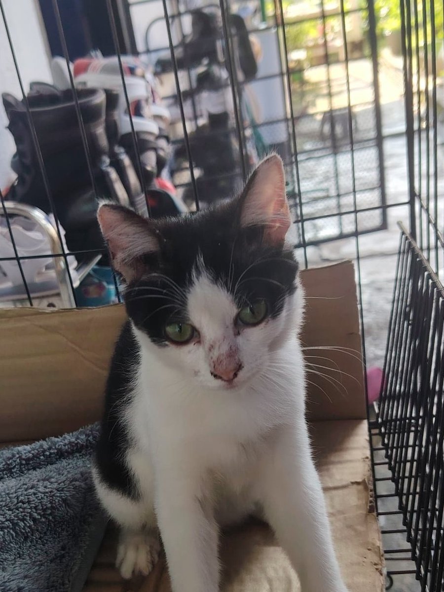 dim na 🍉 tweet media