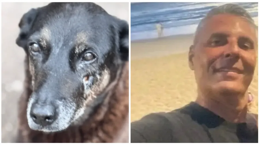 Investigado por suposta coação no caso do Cão Orelha morre em SC 

O homem era tio de um dos adolescentes citados inicialmente na investigação sobre a morte do cão

Ele é apontado como investigado em uma apuração paralela, que trata de suspeitas de coação de testemunhas do caso