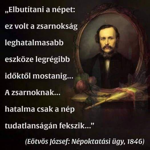 Toth Bandi tweet media