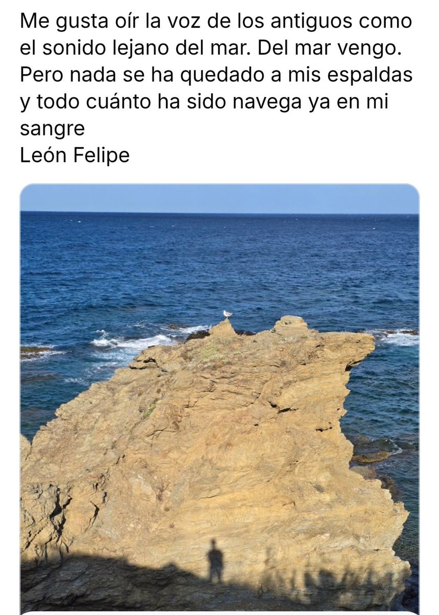 Jordi Mat Amorós tweet media