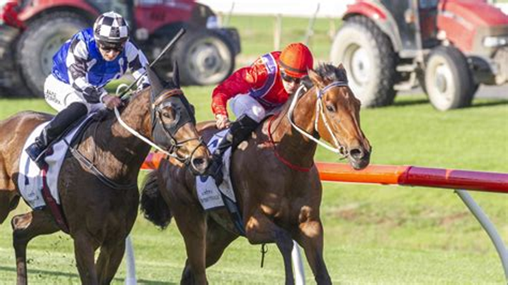 Eva Close tweet media