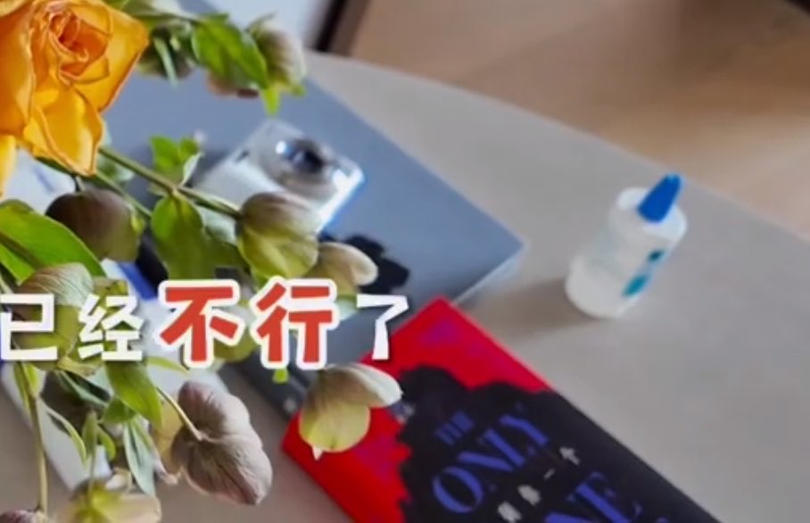 j 🧸🐈 tweet media