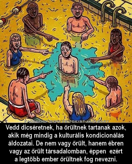 Toth Bandi tweet media