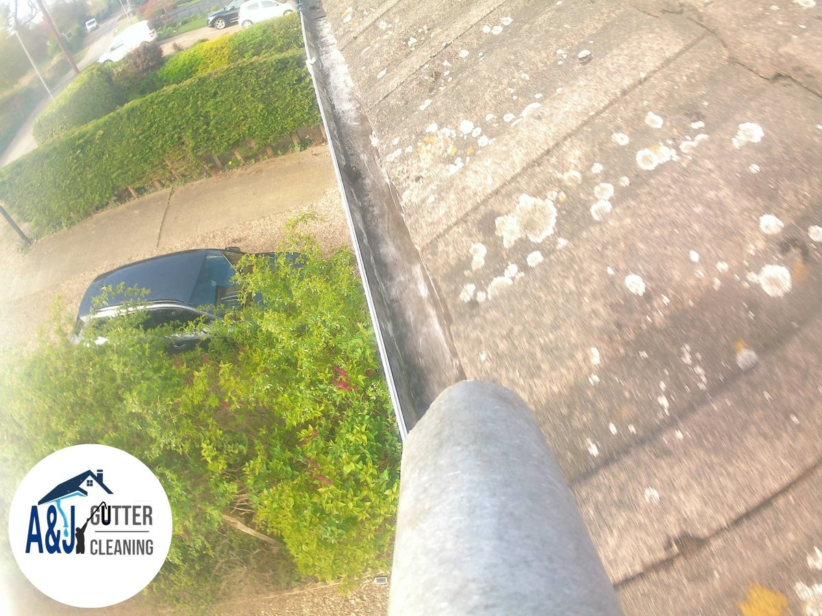 ajgutterclear's tweet photo. This week's 1st job in Hornsea, dry moss &amp; weeds cleared from all gutters, downpipes checked, all gutters checked with 📷. Sorted #Bridlington #Hunmanby #Bempton #Flamborough #filey #Driffield #Hornsea #beverley #Withernsea #gutterclearing #beeford #eastyorkshire #kelk https://t.co/i8auNOp3oD