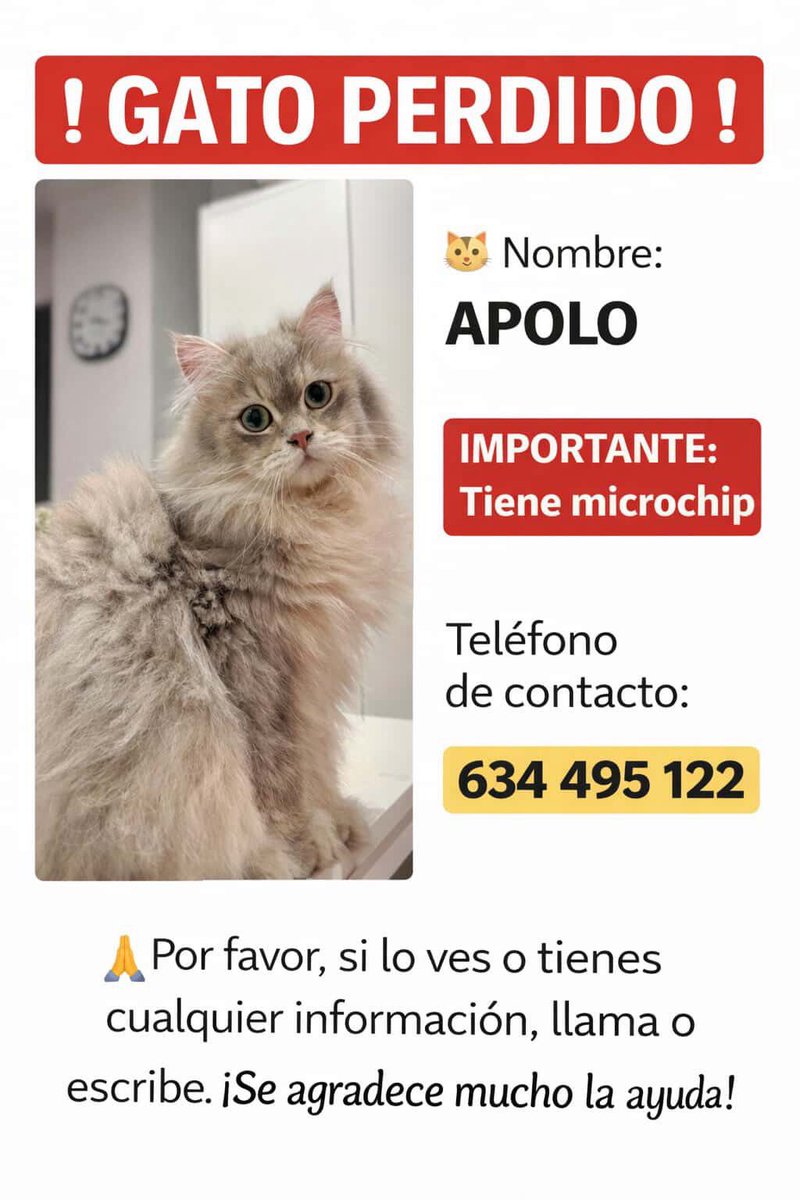 Felinos lo Morant tweet media