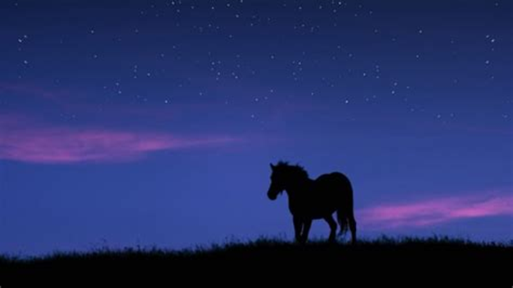 Eva Close tweet media