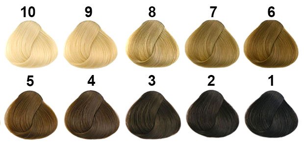 nana🐈⬛ enhypen is 7 !!!lcdtm tweet media