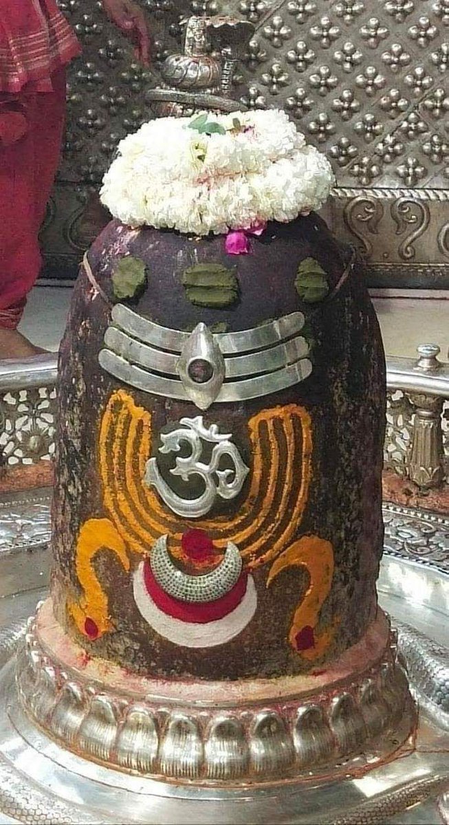 Jay Sanatan 🚩🕉️🔱🛕 tweet media