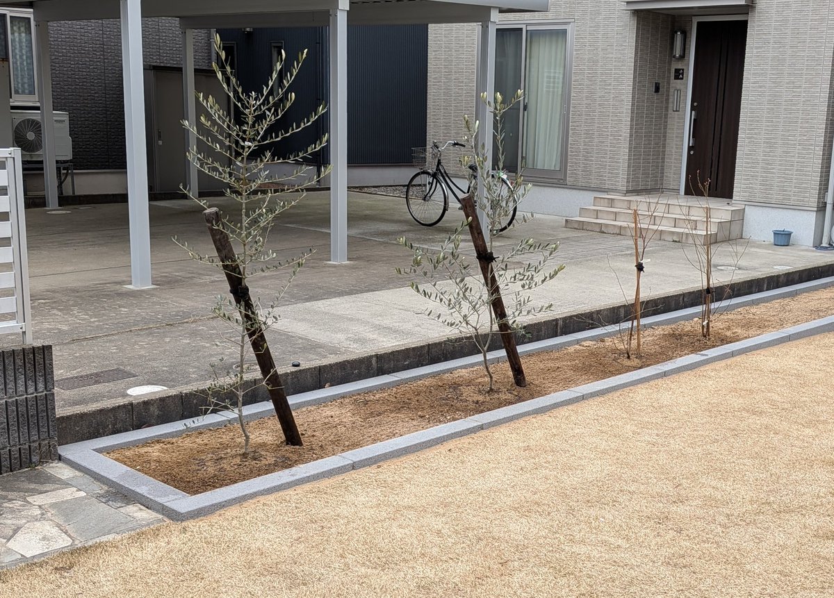 けちゅ tweet media