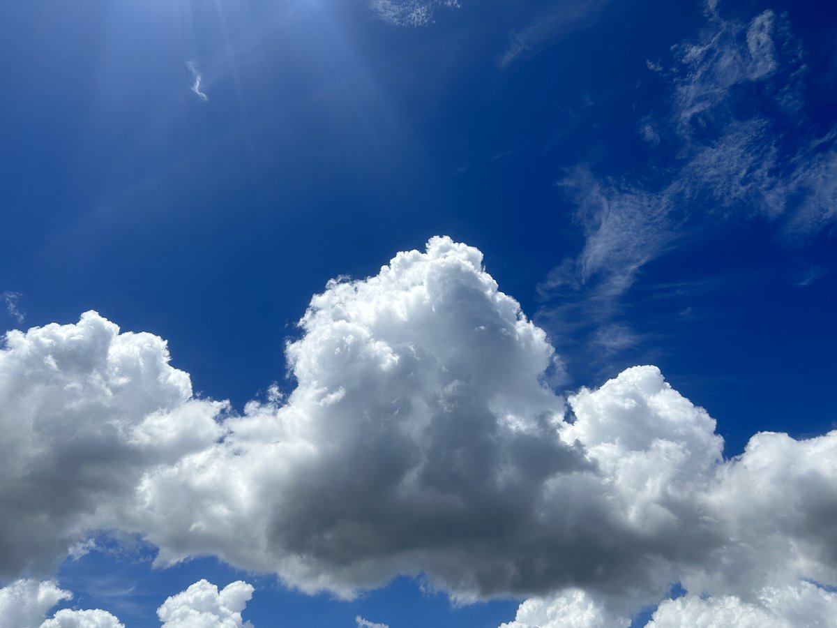 はなもんすたー！( 「'-' )「ポケGO tweet media