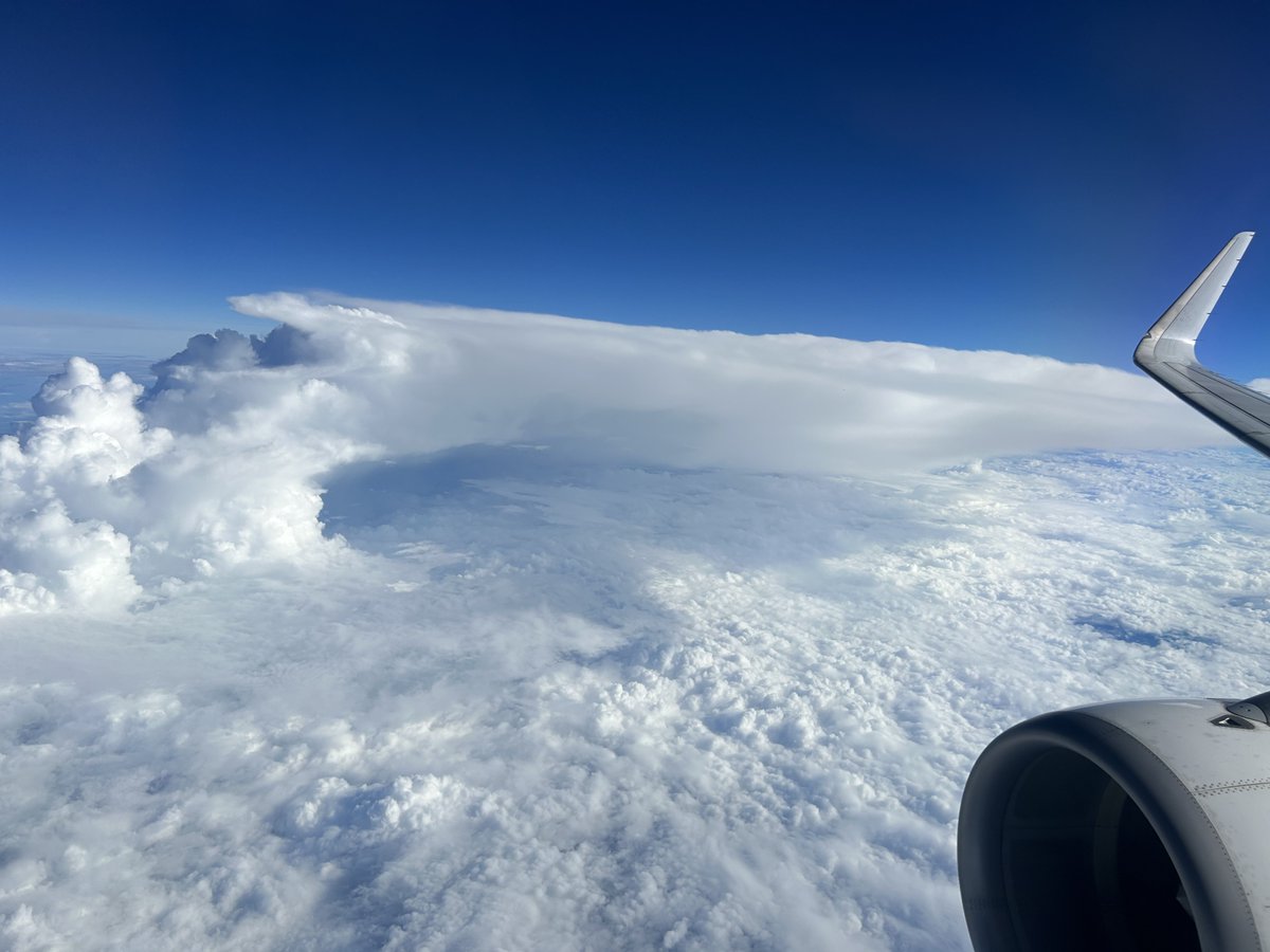 はなもんすたー！( 「'-' )「ポケGO tweet media