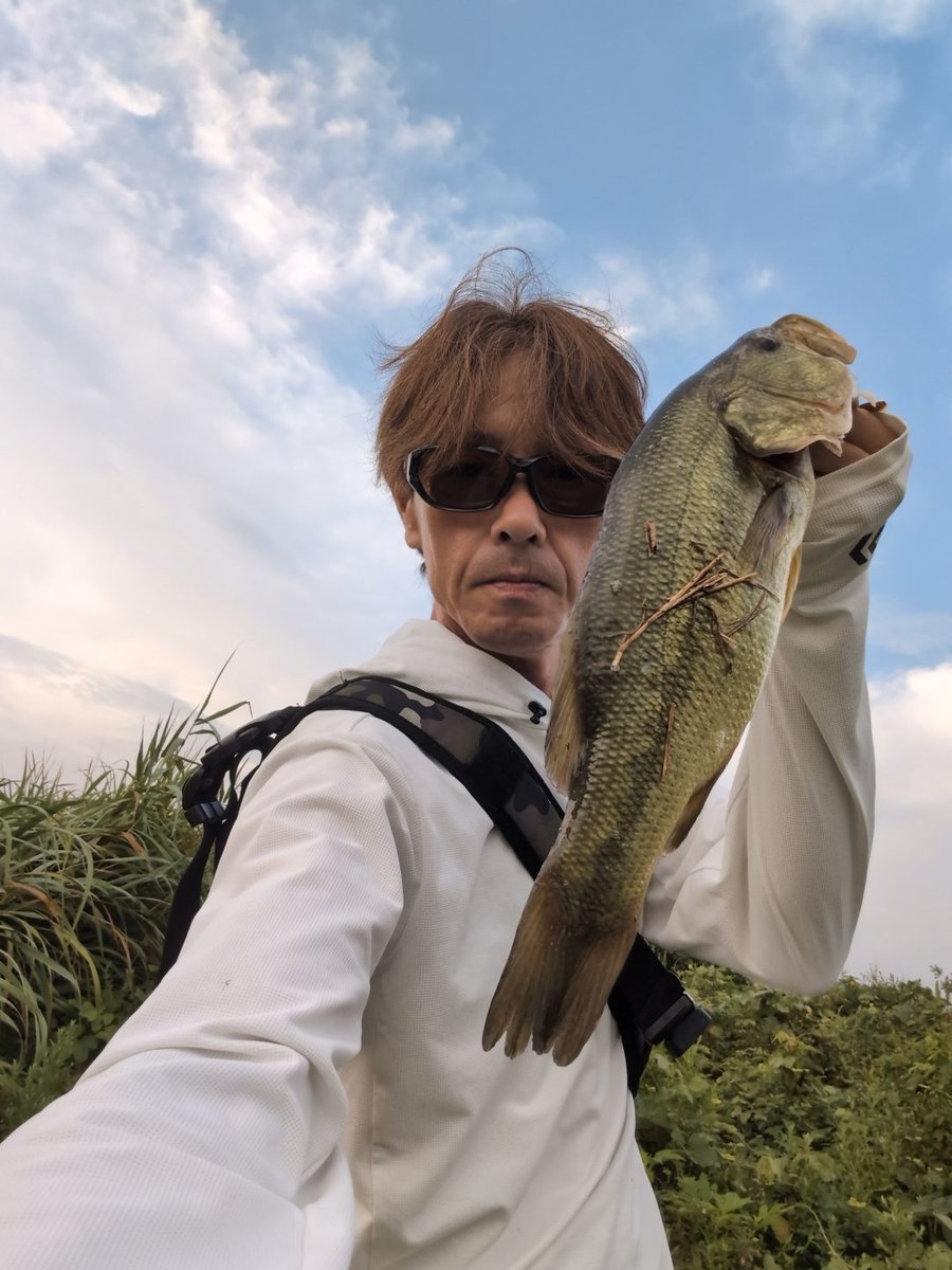 ラック tweet media