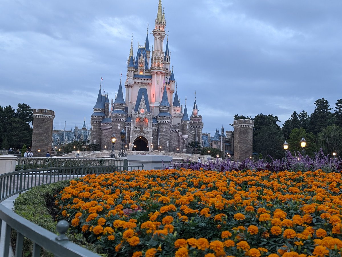 ラック tweet media