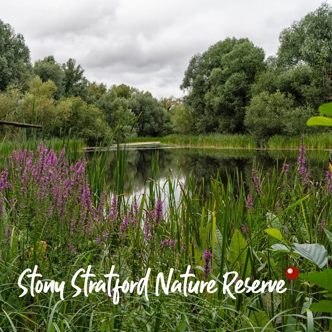 The Parks Trust tweet media